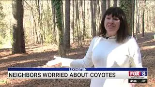 Neighbors concerned about coyotes in Lexington