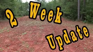 2 Week Update Fall Food Plots