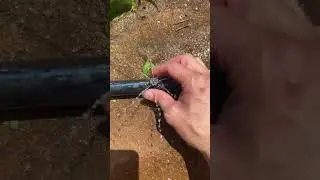 adjust dripper ضبط المنقط #shorts  #plumbing #irrigationproject