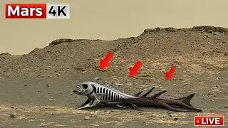 NASA Mars Rover Send New 4K 360&deg; Footage of Mars SOL 1547! Perseverance Rover' Mars New 4K Video