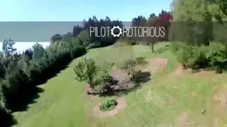 Speed Addict 210-R Crash Test