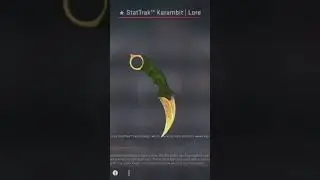 #csgo Karambit Lore ST - why not :)