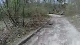 Blade 350 QX vs RC-car Magix Fastcut GoPro RC