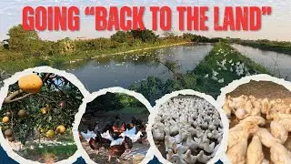 Leaving the City to START A FARM with My Father - TaBa Farm