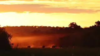 Nikon Z9 - Teaser 2