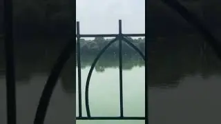 #dear#park#in#Delhi#nice#and#beautiful#natural#dear#park#youtshort#viral #video#and#trending#song#