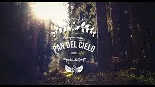 Pan del Cielo - Ángeles de Fuego  | Álbum 