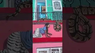 A random wall in kochi 📍Kerala biennale #shorts #trending #viral #biennale