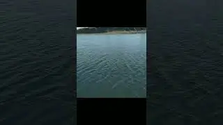 vaitarna river #vaitarna #vaitarnariver #nearmumbai #palghar