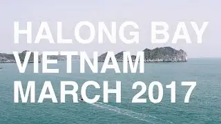 THE BAY (Cat Ba, Halong Bay, Vietnam, March 2017)