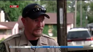 Moose shot with tranquilizer dart in westside Colorado Springs neighborhood