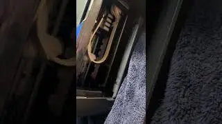 Принтер EPSON простой 3 года! ( ОН ПЕЧЕТАЕТ! )