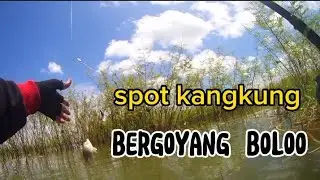 spot kangkung umpannlumut esen peresan kangkung plung nyut boloo. @TotokChanelNew