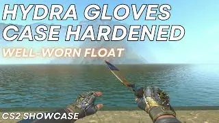 Hydra Gloves Case Hardened (Well-Worn) | CS2 Skin Showcase #1263