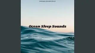 Sea Splash