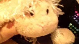 lambie live show