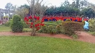 Best children's song, children's song performance:Mother Care Nursery and Primary School 