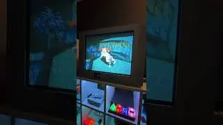 Painting The Path to Victory in Okami