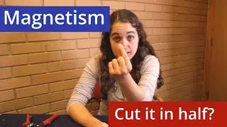 Magnetism: Cutting a magnet in half