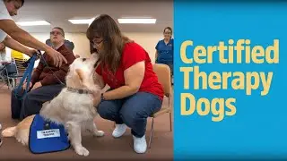 Key Training Center Visits Caring K9s Therapy Dog Class (2023)