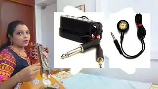 How to fix Mike in Veena?- English