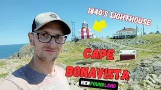 Exploring Cape Bonavista & Lighthouse in 2024! 😲 | Explore With Norm
