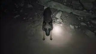 Blair Witch Ep3 Scary twigs