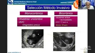 Control prenatal en embarazo gemelar (27 Jornada de MMF HCUCH)