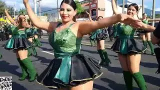 Cocodrilos marching band 2024.