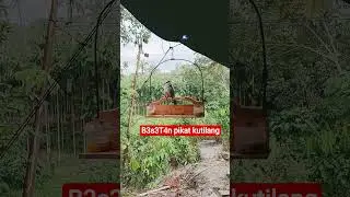 suara besetan pikat kutilang #burung #burungkicaudialamliar #birds #kicaumania #kutilang