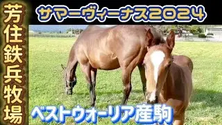 ミューチャリー『ふるさと訪問』後編 サマーヴィーナス 2024.7.4