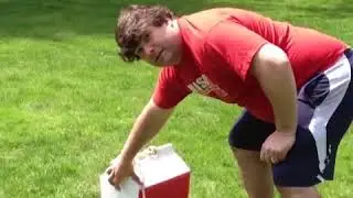 Funny Squirrel Fails Videos Compilation 2019