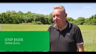 Dan polja RWA p&scaron;enica Lukač 28.05.25.
