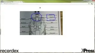 XPressChromeCamera