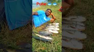 Big Rohu | Fishing In Maharashtra#shorts #fishing #bigrohu