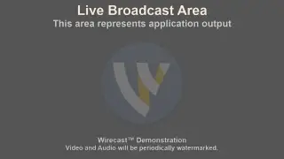 Tim Chan Live Stream