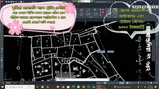 Raster Tool এর Irror Line Correction.