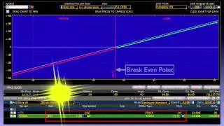 Option Tips 2. The Risk Graph