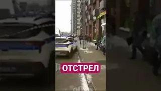 ОТСТРЕЛ ПОШЕЛ #криминал #миграция #задержания #новостироссии #фсб #преступность