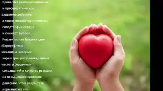 Арджуна - лучшее лекарство для сердца! наука подтверждает!