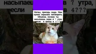 #смех #приколы #юмор #мем