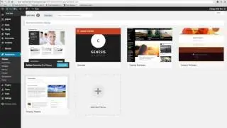 How to Install a Theme and Plugin on WordPress