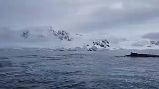 Antarctica don&rsquo;t feel real&hellip; until they happen