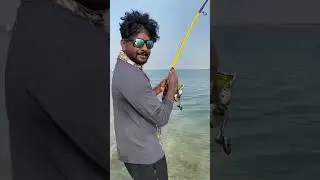 Queen fish 🎣 #fishing#video