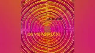 Devras Plexi - Vedanta Rationale