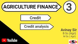 Credit Analysis
