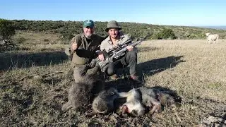 Baboon/Vervet Varmint Sabatti Rover Scout Sightmark Presidio Contessa Mounts MRR Bullets B&P BP106