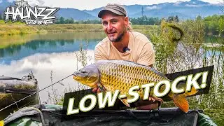 Karpfenangeln am Baggersee im Kraut - Alle Infos zu Spotwahl, Taktik, Tackle, Montage, K&ouml;der, Futter