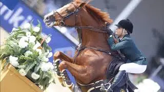 Love Horses Body Bandage