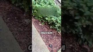 Без палева спрятал ключ от двери 😂